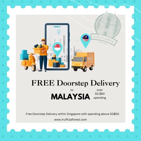 COURIER DELIVERY MALAYSIA